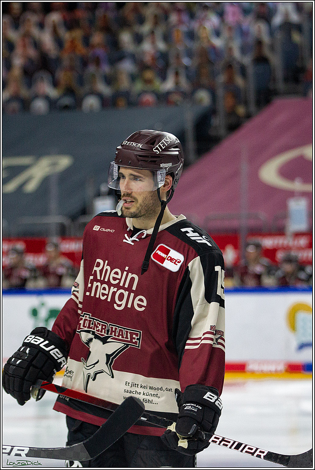 PENNY DEL;  Koelner Haie - Augsburger Panther; Koeln, 05.04.2021
